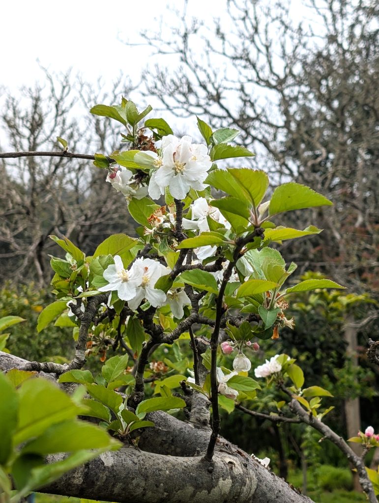 PXL_20250603_144606031