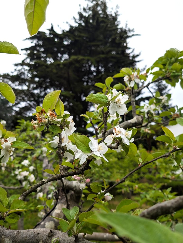 PXL_20250603_144628286