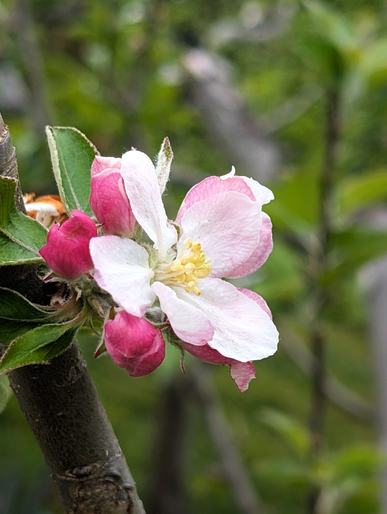 PXL_20250603_145331439