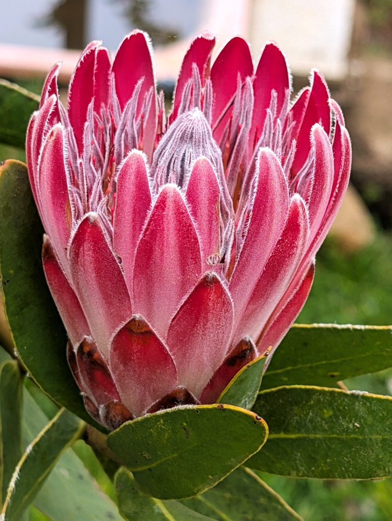 PXL_20250603_145557643