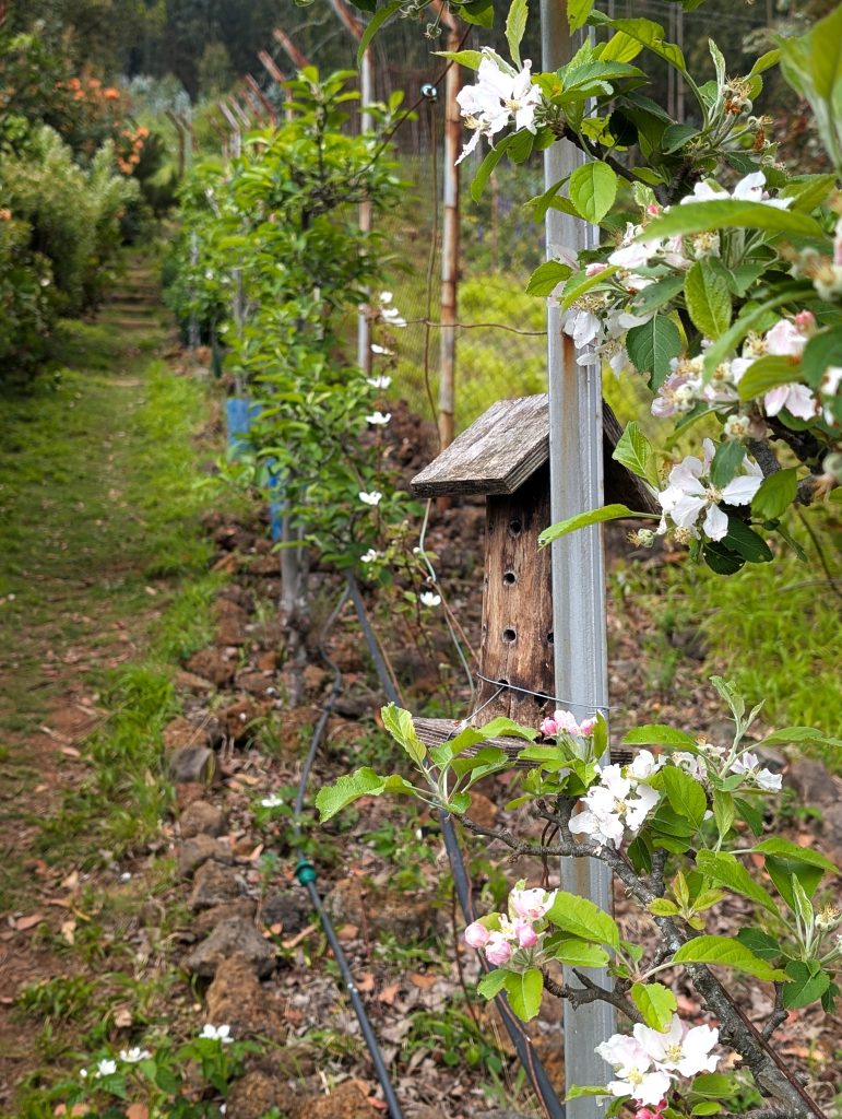 PXL_20250603_150911036