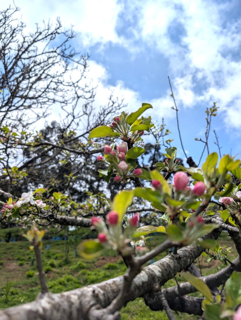 PXL_20250603_151244015