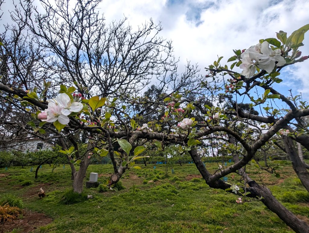 PXL_20250603_151347797