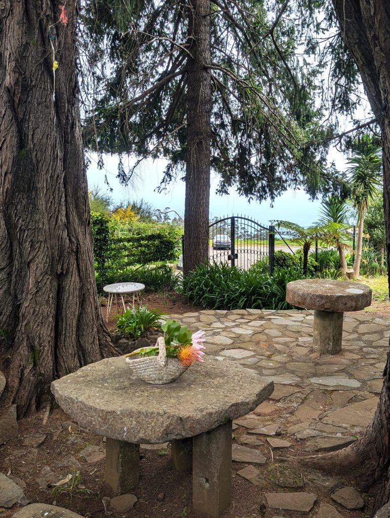 PXL_20250603_151937466