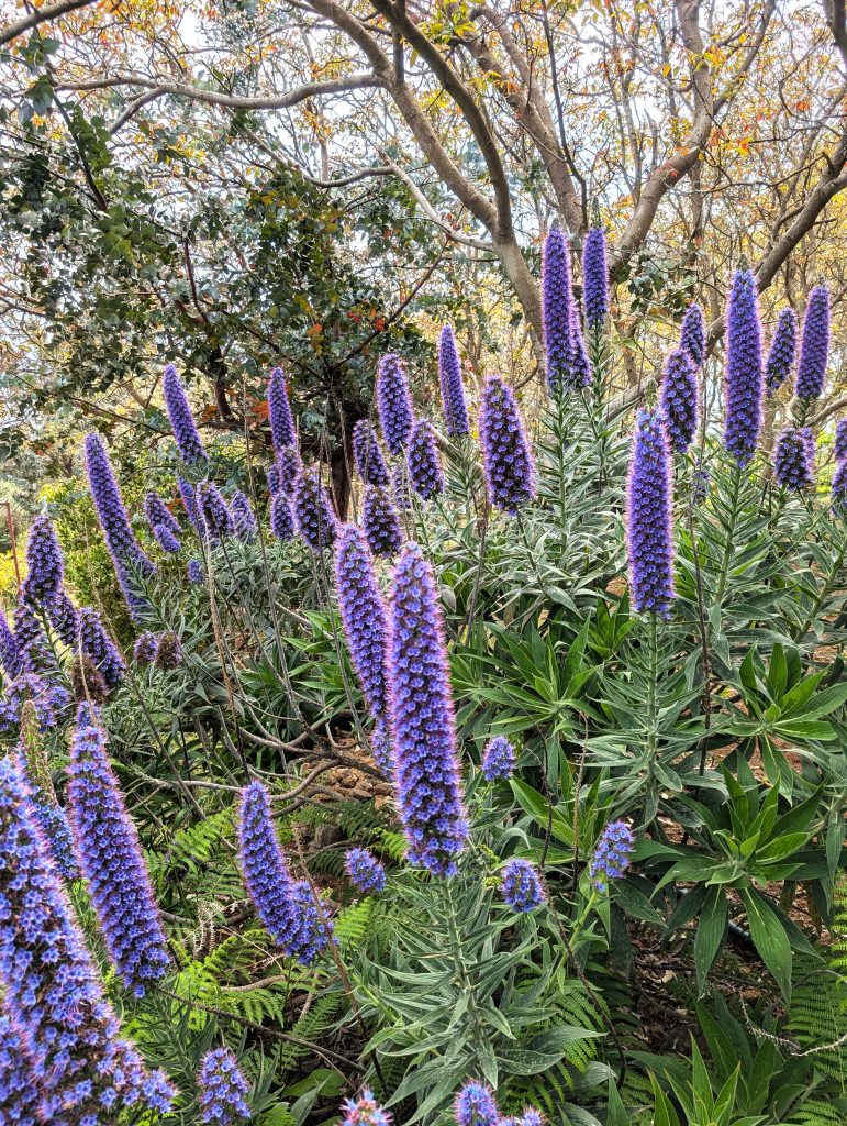 PXL_20250603_152626467