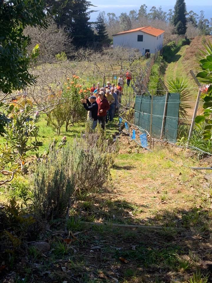 tour pelas ervas aromáticas e proteas